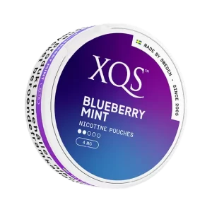 XQS Blueberry Mint Slim 4mg