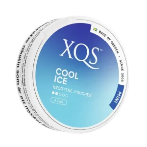 XQS Cool Ice Mini 4mg